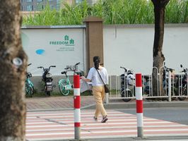 行人横穿绿化带被撞责任怎么认定