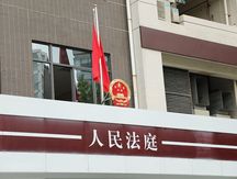 什么是巡回法庭审理