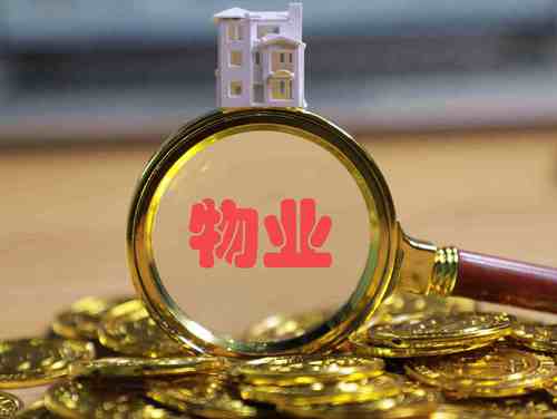 民法典属于业主权利的有哪些