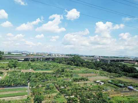 非法占用土地罪