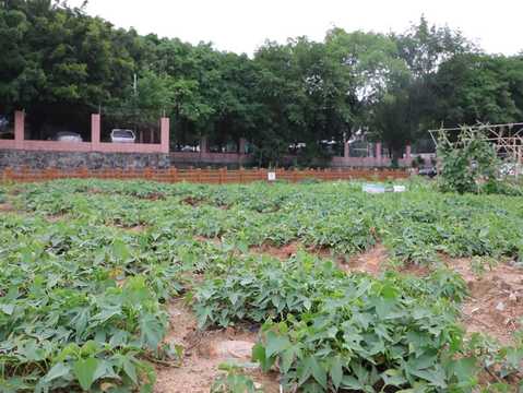 农民承包地最新政策