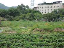 农村土地确权证书使用期限多少年