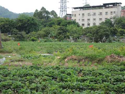 土地承包经营期限为多少年