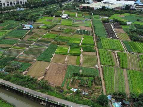 农业合作社可以在耕地盖房子吗