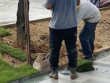 公共排水管道破裂归谁管