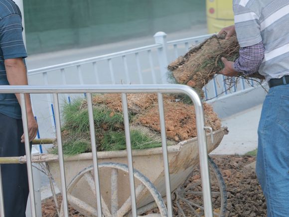 绿化工程竣工验收程序