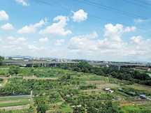 土地转让合同样本2022