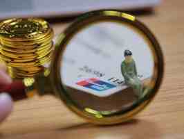 失信人员怎样查询系统怎么用