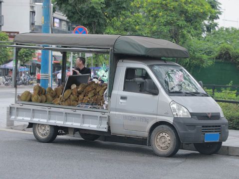 老人组团偷芒果，盗窃罪如何量刑