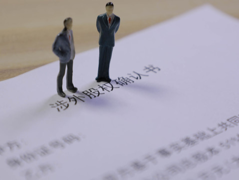 股东未认缴出资