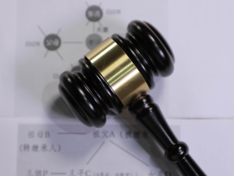 二审判决后执行程序