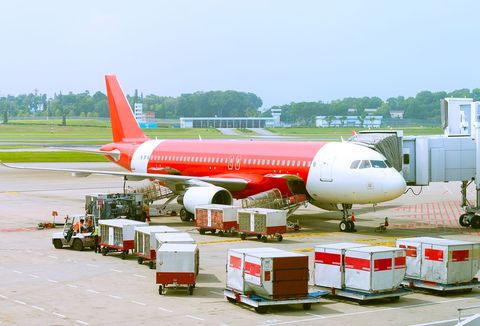 宠物航空运输怎么运