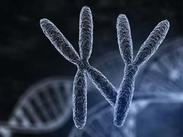 网上结婚是否具有法律效力