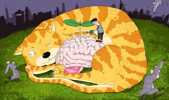 产品侵权相关规定