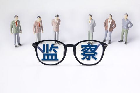 监察机关属于政府部门吗