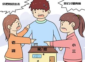 第三人过错的认定