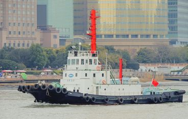 分公司属于非企业法人吗