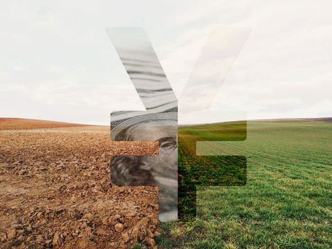 最新土地青苗补偿标准是怎样的