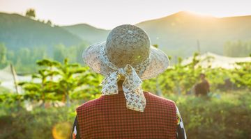 城镇户口是否等同于非农户口