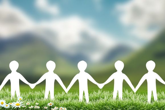 集体合同制度分别有什么样的内容和特征