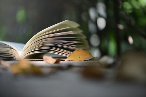 轻伤二级的有谅解书