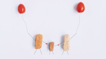 青少年食品安全监管由哪个部门进行