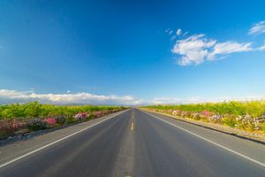 修建高速公路征地赔偿的法律依据和政策有哪些