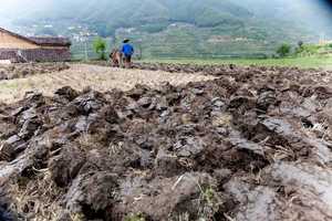 农户开荒地是否取得使用权