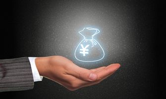法人贷款股东要承担什么责任
