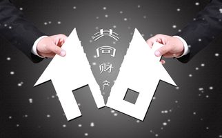非婚同居能否享有财产划分权