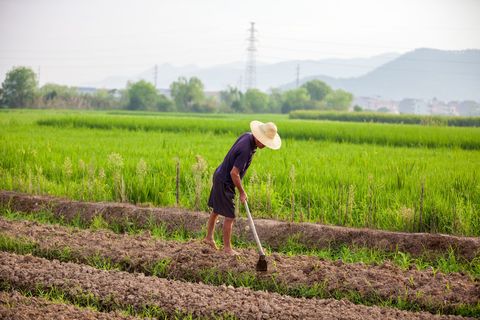 集体土地所有权主体有哪些