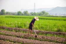 新农村土地承包经营权确权登记