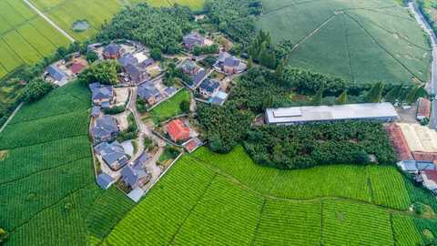 农村宅基地转让协议是否有效