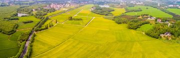 农村集体用地土地可以交易吗