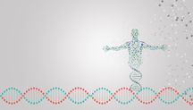 2022年首要分子是一人吗