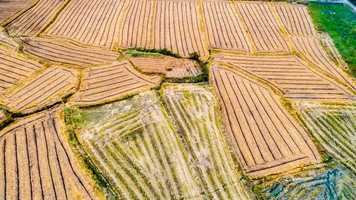 凉山集体土地被占用的赔偿标准有何规定