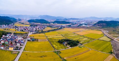 农村承包地是从哪一年开始