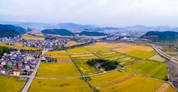 个人承包地被征收土地补偿款归谁