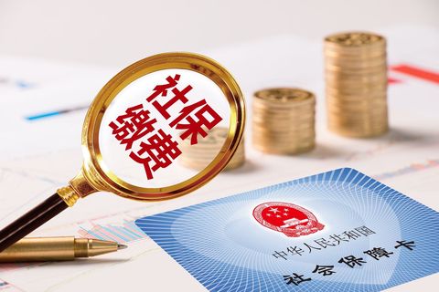 用人单位缴纳社会保险