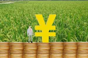 农民没有地国家怎么补偿
