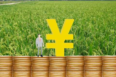 农村水田征地赔偿标准