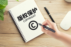 书法版权保护的是什么权利