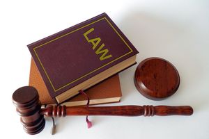 司法拍卖适用什么法律法规