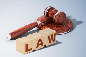 什么叫违法行为和违宪行为的区别