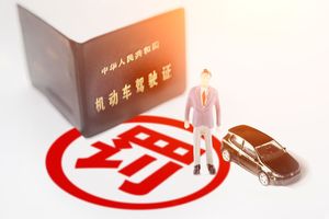 诽谤罪的处罚包括哪些行为