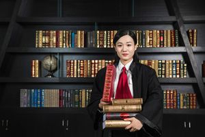 申请强制执行请律师怎么收费标准