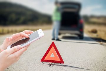 农村道路上狗被撞死要赔偿吗