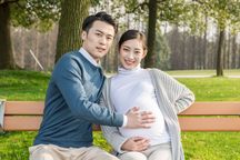 生育保险停了还能报销吗
