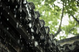 怎样投诉农村违规建筑