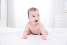 婴幼儿产品质量安全标准是怎样的